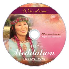 Meditation Anywhere Audio - mp3 download