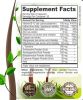 Premium Thyroid Support