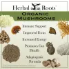 Herbal Roots Men's Health Bundle