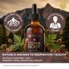 HEBS lab Osha Root Tincture Liquid Extract â€“ Extra Strength Lung & Respiratory Support Supplement, 2 fl oz