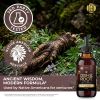 HEBS lab Osha Root Tincture Liquid Extract â€“ Extra Strength Lung & Respiratory Support Supplement, 2 fl oz