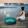 Steel Tongue Drum, 12 in & 13 Notes, C Major Steel Drum for Outside Garden, with 2 Mallets & Carry Bag