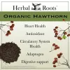 Herbal Roots Men's Health Bundle