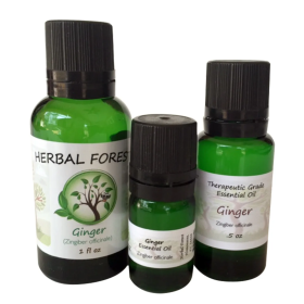 Ginger Oil (Option: 1 oz)